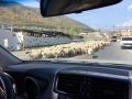 Armenia00020