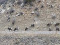 CalDec24_03