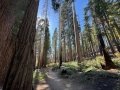 CalOct24_08