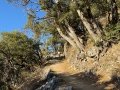 CalOct24_17