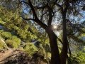 CalOct24_18