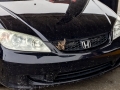 An unfortunate victim