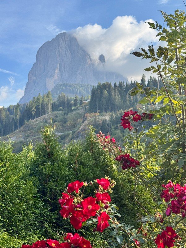 Dolomites-18