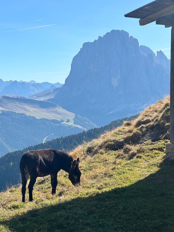 Dolomites-24