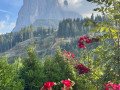 Dolomites-18