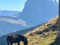 Dolomites-24