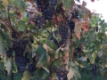 Image00023