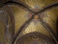 Image00016