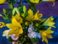 DSCF2713