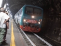 DSCF2788