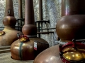 Copper stills at Woodford Reserve