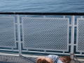 Vinalhaven-1