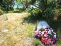 Vinalhaven-10