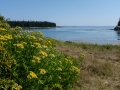 Vinalhaven-15