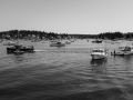 Vinalhaven-5