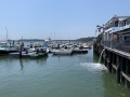 Lunch in South Freeport, Maine