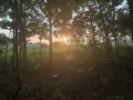 After the storm