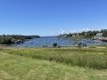 IMG_5239