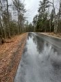 IMG_8601