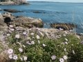 Maine2024_07