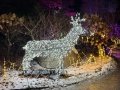 MaineDec24_07
