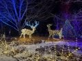 MaineDec24_08