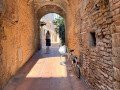SIENA10