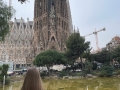 Sant Pau Hospital - Barcelona