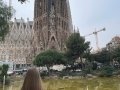 Sant Pau Hospital - Barcelona