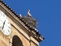 IMG_9235