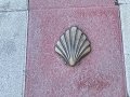 IMG_9563