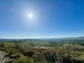 IMG_9696