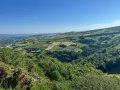 IMG_9900