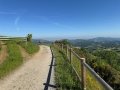IMG_9901