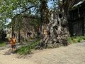 IMG_9913