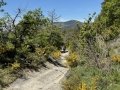IMG_8878