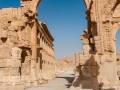 Syria2011-12