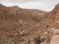 Syria2011-47