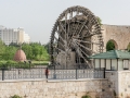 Syria 54