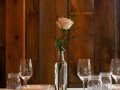 Wedding of David and Stephanie at Primo restaurant in Rockland, Maine on Saturday, June 21, 2025
