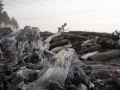 Ruby Beach, WA