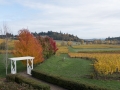 St. Innocent Winery, Salem, OR