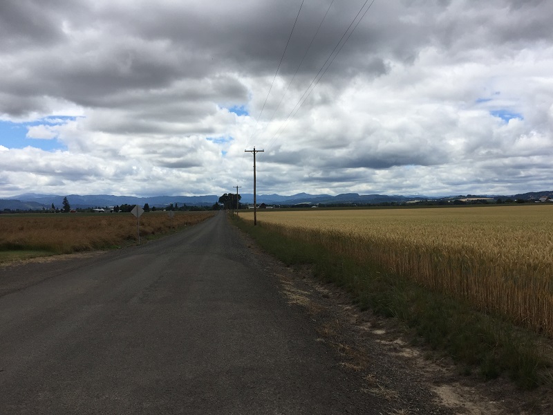 On the Road to Banks, OR